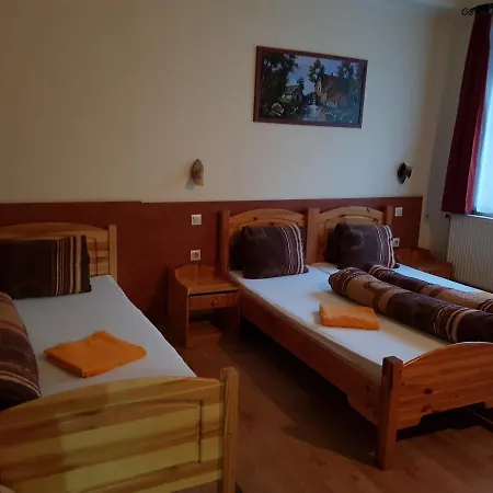 Gæstehus Hungaria Panzio 2*